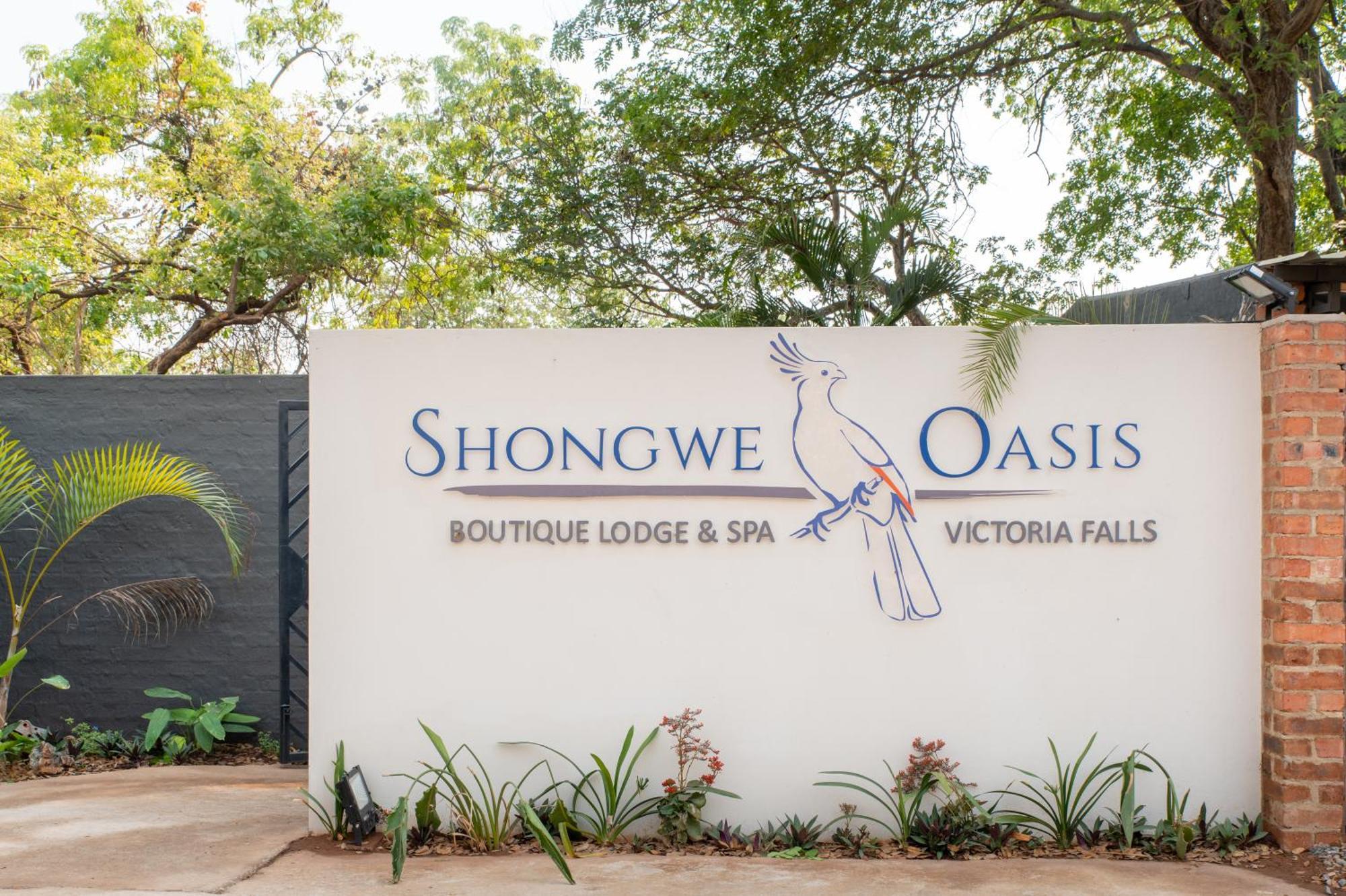 Hotel Shongwe Oasis
